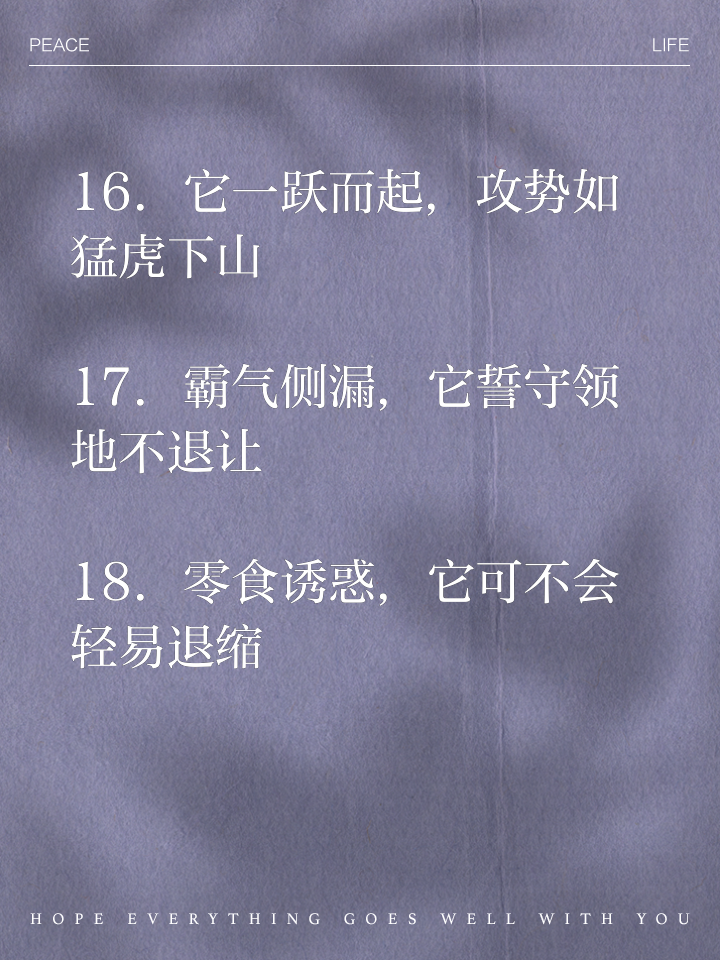 开云APP-包含双方对峙！半场战况悬而未决，胜负未定的词条