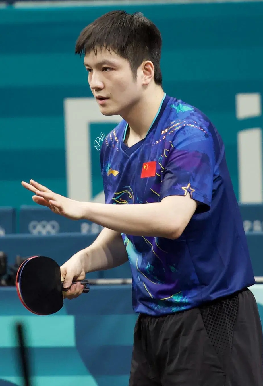 比利时乒乓球队强势波兰乒乓球队,樊振东打破历史纪录的简单介绍 比利时乒乓球队强势波兰乒乓球队,樊振东打破历史纪录的简单介绍