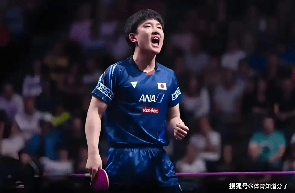 韩国队轻取葡萄牙队，张本智和状态火热