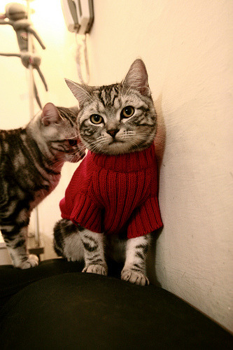 开云体育-西决生死战之夜，文班亚马从湖人的绞杀中夺回节奏