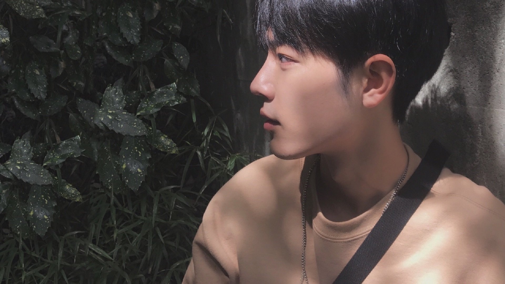 北境故主南迁记，德罗赞斩落旧主，忠诚的刀刃最锋利