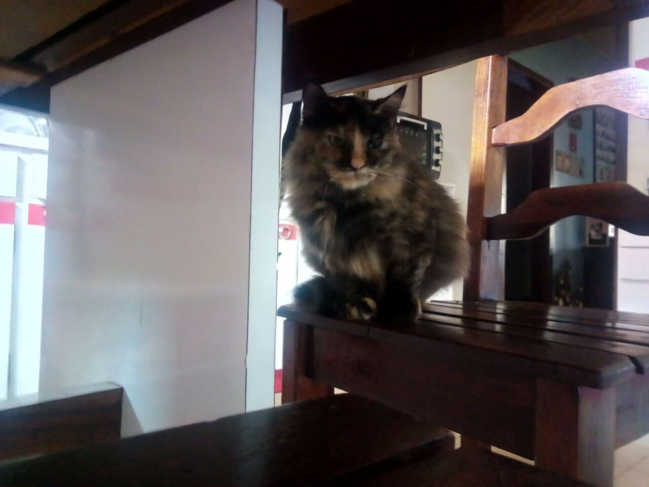 恩佐改写命运，一节疾风骤雨，加拿大击碎哥伦比亚神话