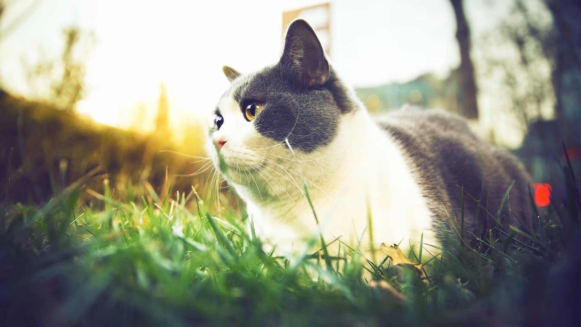 开云体育官方网站-库里致命三分+41分巨星战 森林狼遗憾败北战局逆转