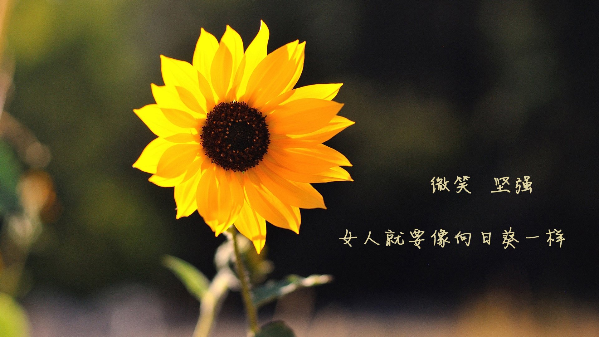 爆发与打穿，当库尔图瓦筑起高墙，比利亚雷亚尔刺穿北欧童话