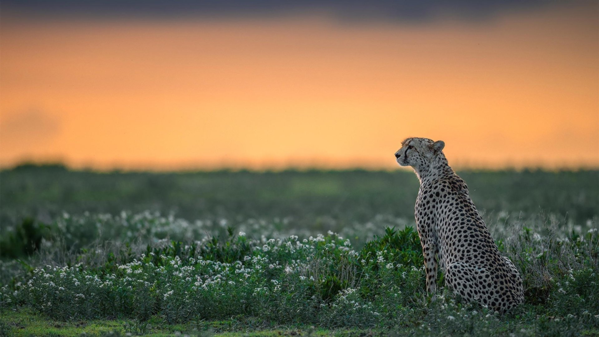 开云体育官方网站-卡塞米罗末节爆发定乾坤，皇家社会客场逆转比利亚雷亚尔