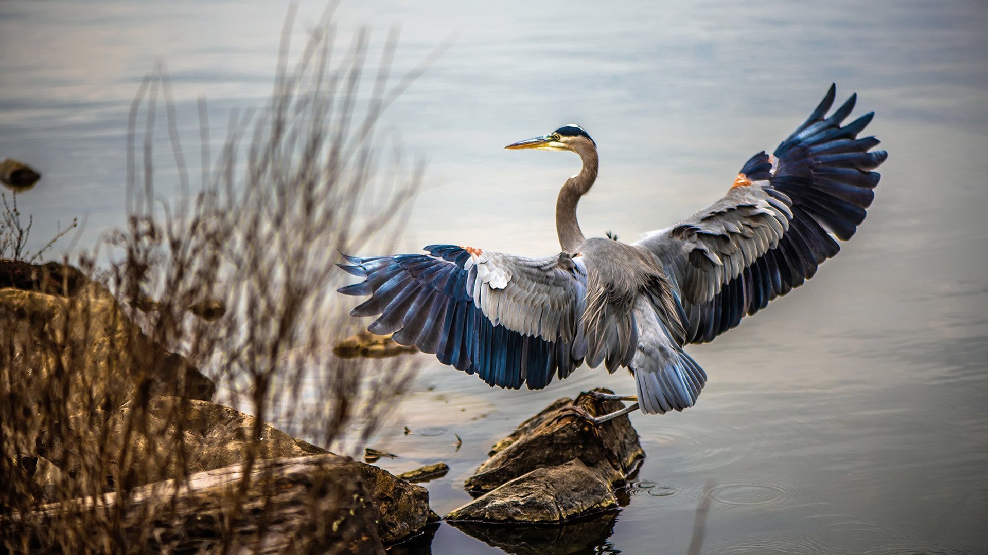 锐利长矛洞穿坚固城墙，伊萨克降神，亚特兰大粉碎马德里竞技的铁血神话