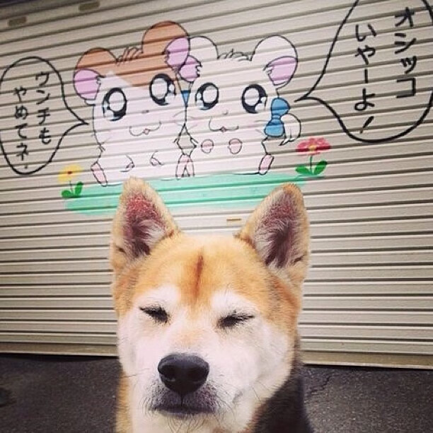 开云体育下载-绿茵铁血与硬木风云，国家德比的激情与雄鹿的坚韧之路