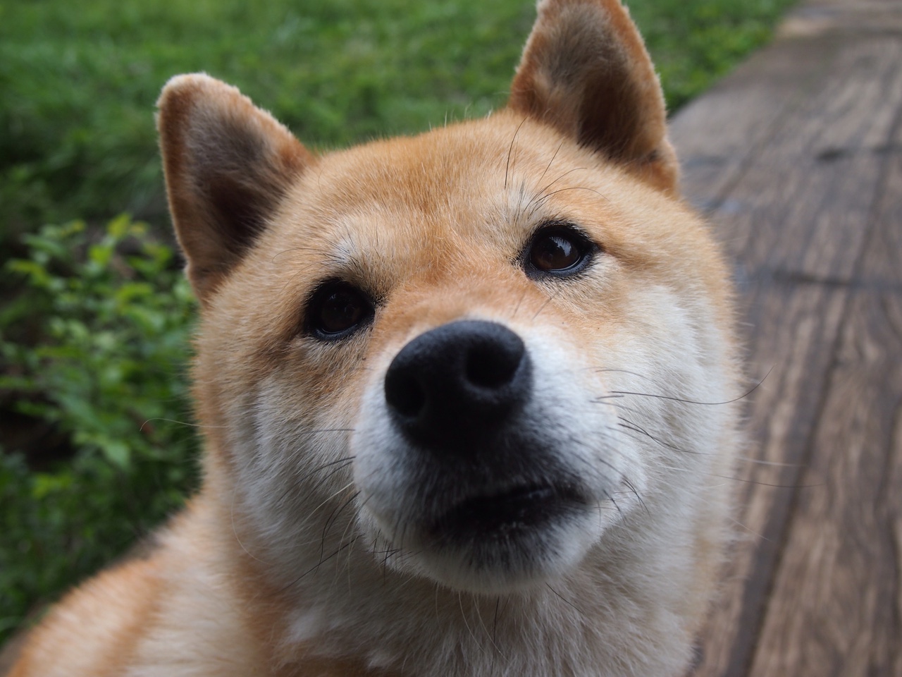 奥纳纳爆发显神威，玻利维亚鏖战毕尔巴鄂