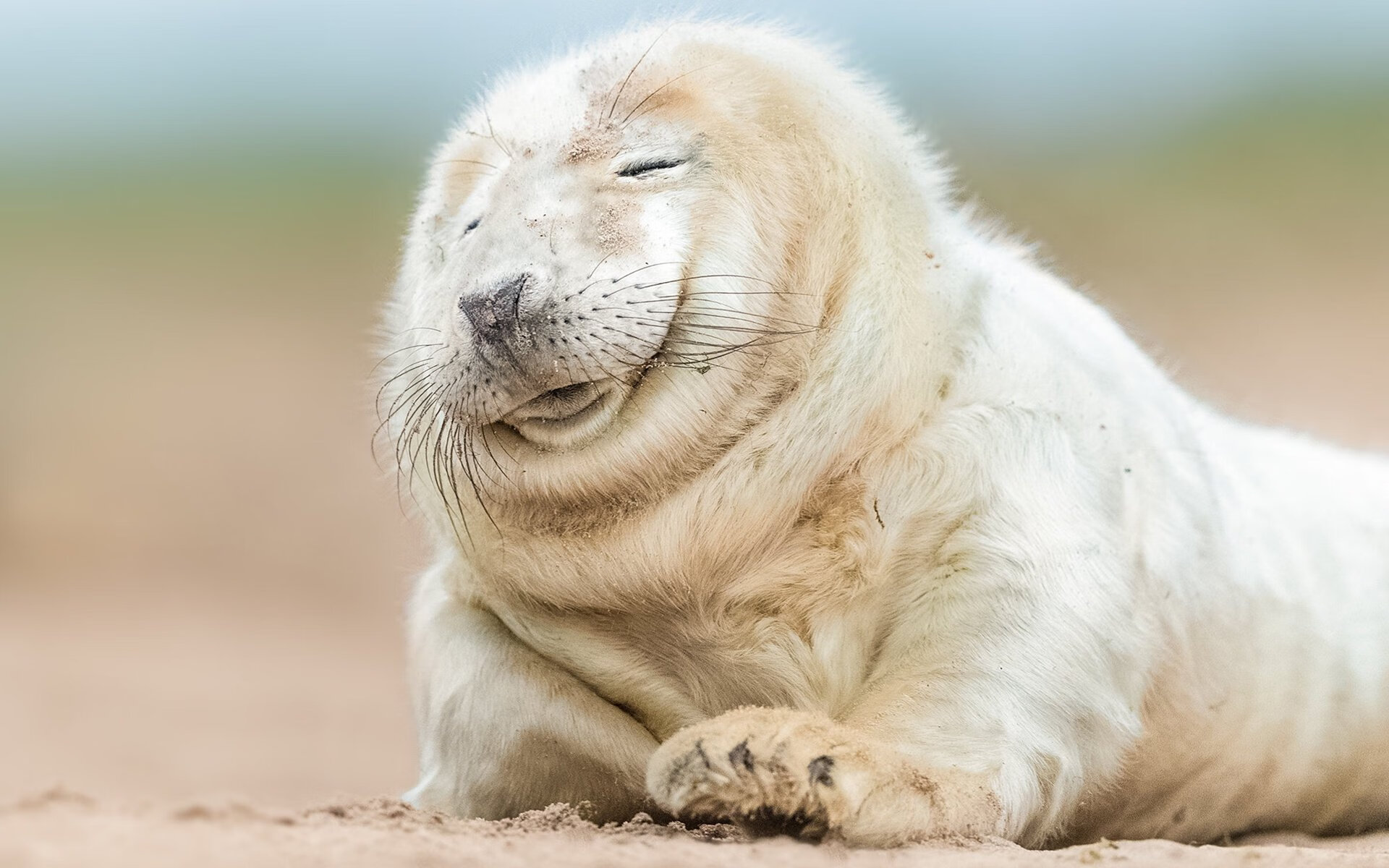 无名塔图姆改写历史，鹈鹕惊天压哨绝杀背后的卑微与伟大