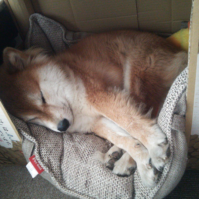 开云官网-智利终结德国霸业，黄喜灿主宰比赛走向，足球世界的变革时刻