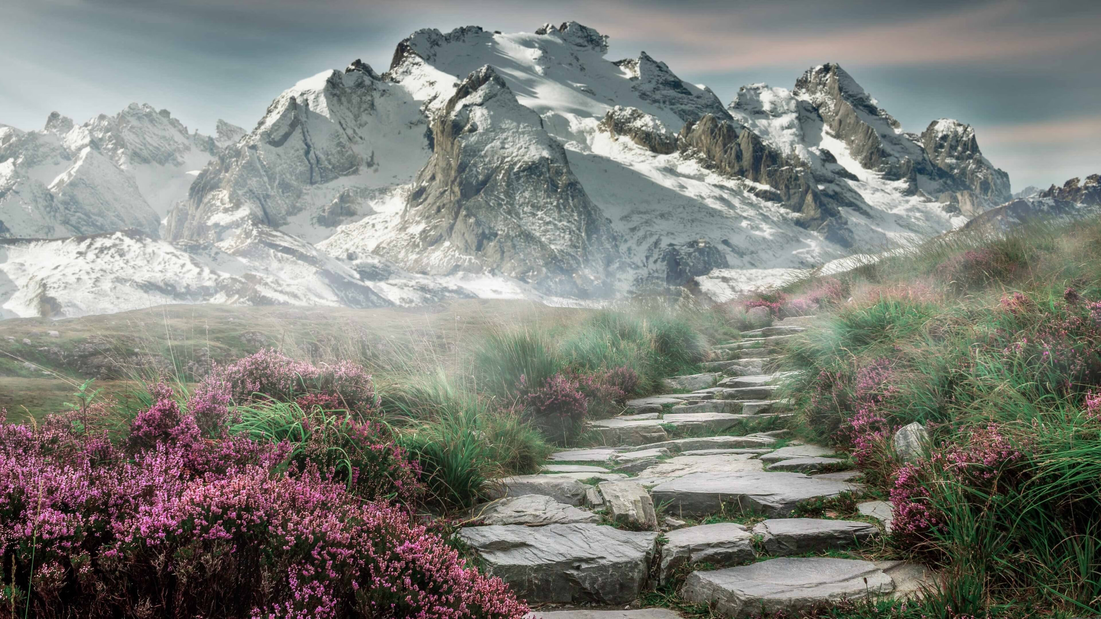 战术碾压与巨星闪耀,格列兹曼关键一击,法国队如国际米兰般全面压制加纳