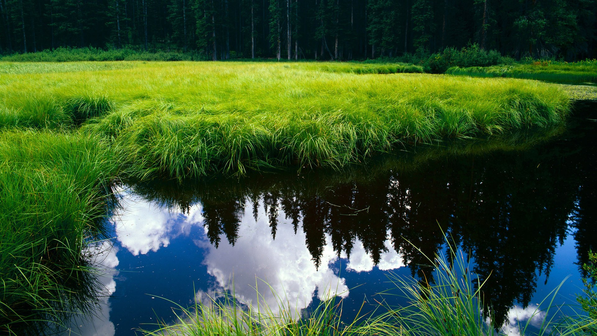 双重战场，欧冠铁血围剿与NBA速胜美学的交响