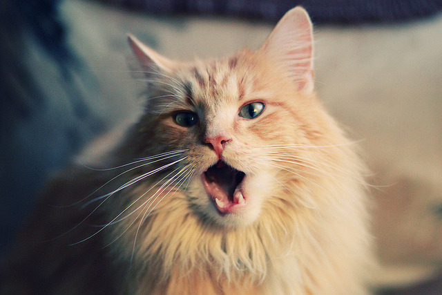 开云体育在线-南非震撼足坛全面压制皇马，格纳布里转会意甲焦点战接管比赛闪耀亚平宁