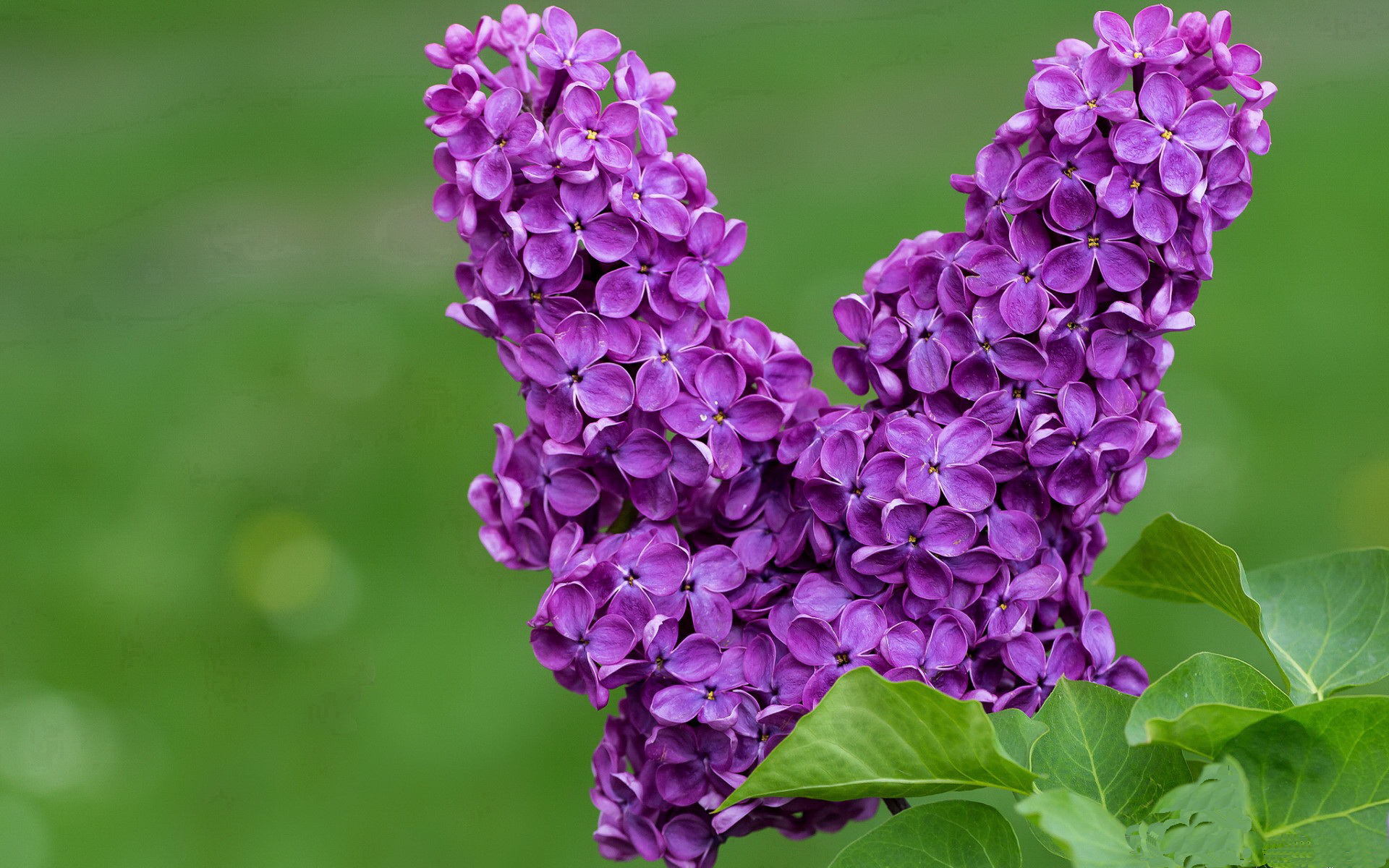 破晓之时，阿什拉夫在慕尼黑的钢铁风暴中改写王座法则