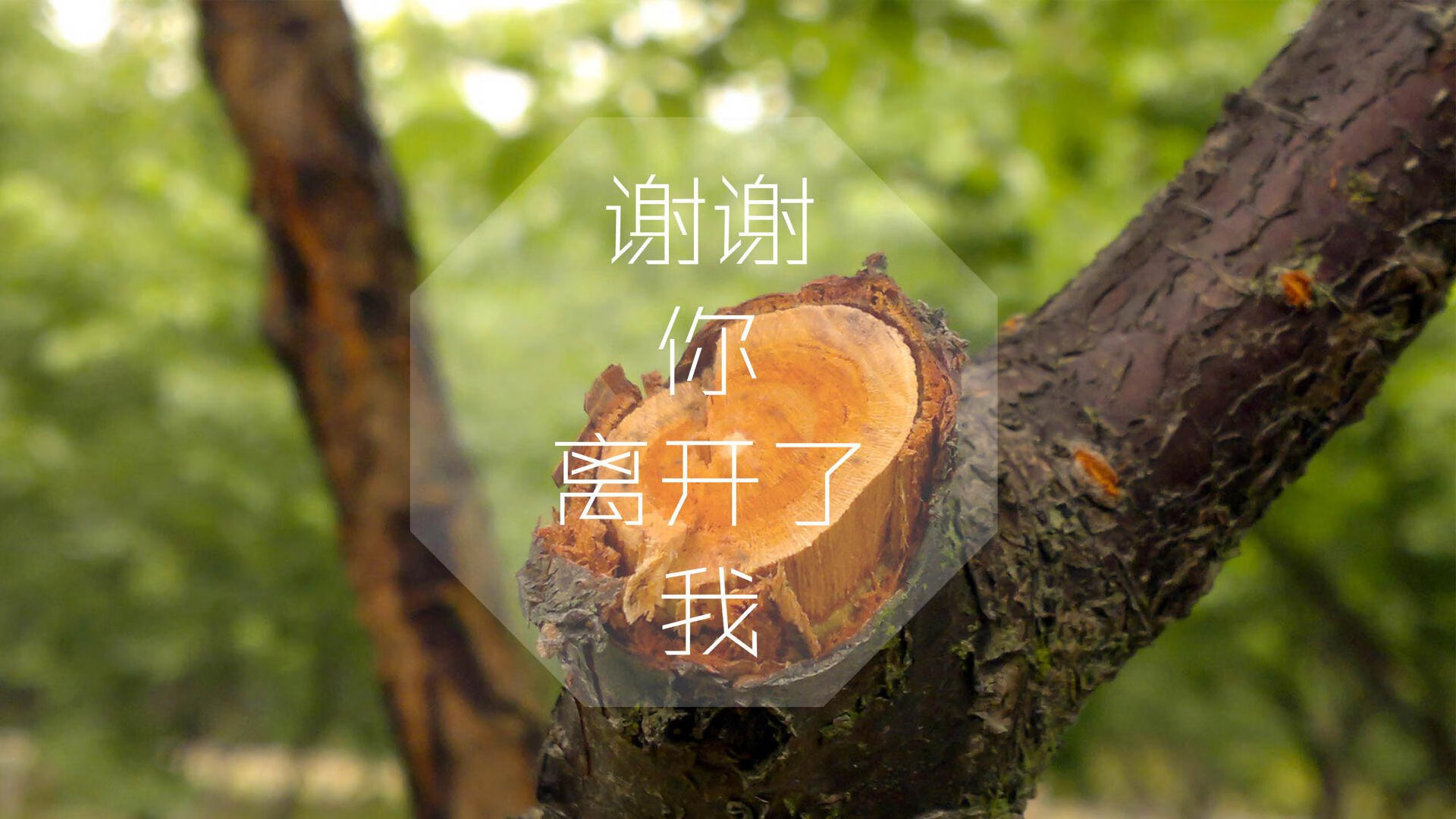 王者归来，巴西绝杀乌拉圭，梅西领航阿根廷战术制胜，2026世界杯D组风云再起