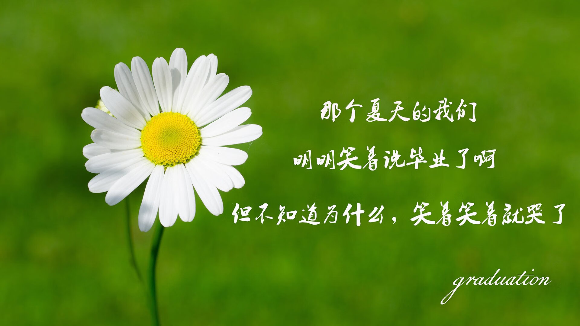 开云APP-黄金之翼划破布拉格夜空，加纳控球碾压捷克，德容致命一击锁定2026世界杯C组首胜